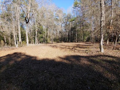 4281 Niagara Carthage Rd, Carthage, NC 28327 - photo 3