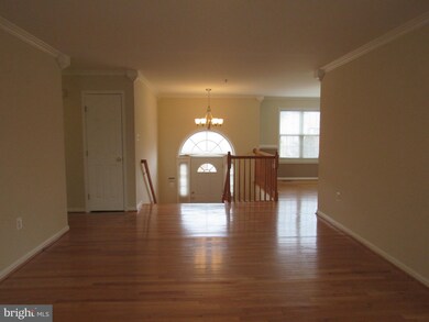 8807 Charm Ct, Brandywine, MD 20613 - photo 6