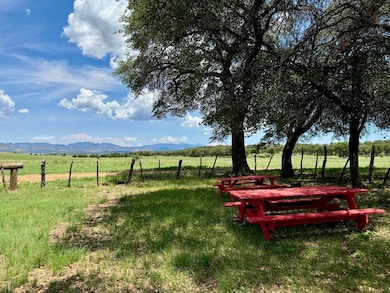214 Apache Rd San Rafael Valley Rd, Patagonia, AZ 85624 - photo 6