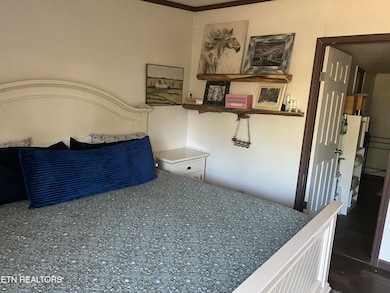 145 Pinhook Rd, Calhoun, TN 37309 - photo 7