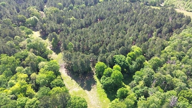 191 Fm 587, Kennard, TX 75847 - photo 4