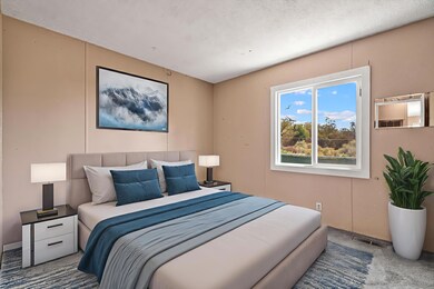 55960 Mitchell Rd, Anza, CA 92539 - photo 7