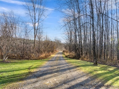 9036 Dole Rd, Remsen, NY 13438 - photo 2