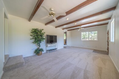 Interior-4