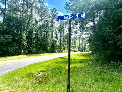 3 acres Bob Sikes Rd, Defuniak Springs, FL 32435 - photo 2