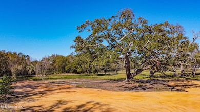 Lot 16 Rue Dauphine Cir, Biloxi, MS 39532 - photo 3