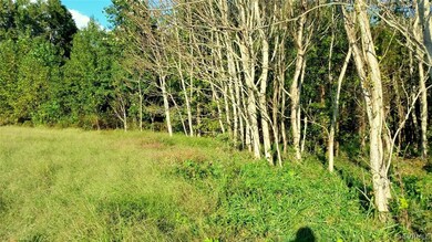 000 Boxley Rd, Caroline, VA 22546 - photo 6