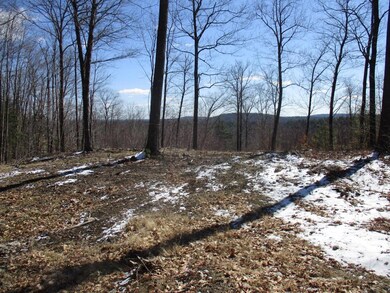 5 Isaac Frye Hwy, Wilton, NH 03086 - photo 7