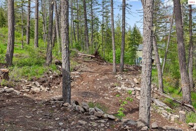 7538 W Chanel Ln, Rathdrum, ID 83858 - photo 6