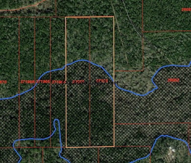 0 County Road 2845, Colmesneil, TX 75938 - photo 4