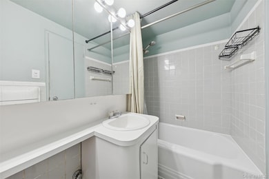 The Blackstone unit 7F, Bronx, NY 10463 - photo 6