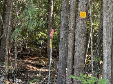 922 Cottonwood Rd, Priest River, ID 83856 - photo 7