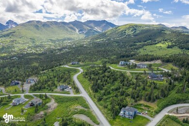 2-Aerials MS_0575