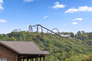 12 Woodpecker Ln unit 2, Branson, MO 65616 - photo 5