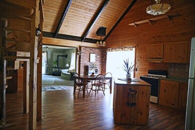 7180 N Walnut Ave, White Cloud, MI 49349 - photo 4