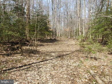 23671 Kingston Creek Rd, California, MD 20619 - photo 2