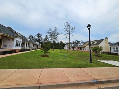 Park in front of the house