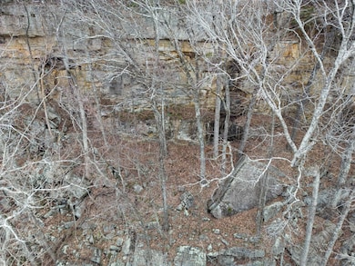 0 Georgia 136, Trenton, GA 30752 - photo 6