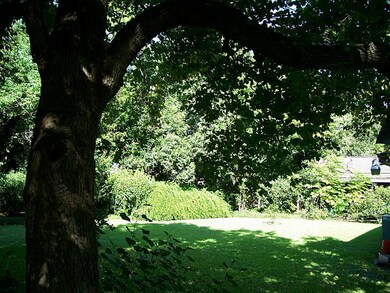 Looking out toward the back of the lot.