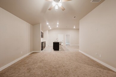 9213 Red Cliff Ave, Odessa, TX 79765 - photo 4