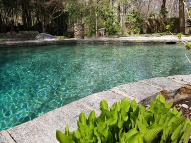 Mimosa Drive Pool