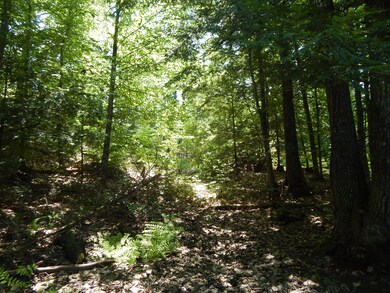 - Cramm Rd, Parsonsfield, ME 04047 - photo 5