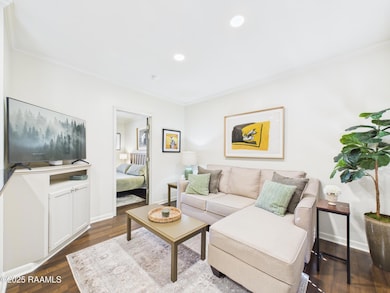 213 Bendel Rd unit 213, Lafayette, LA 70503 - photo 7