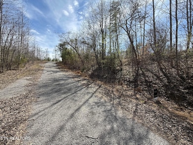 TBD Brandt Pike, Lafollette, TN 37766 - photo 6