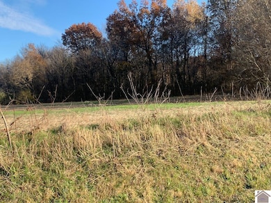 000 Gholson Rd, West Paducah, KY 42086 - photo 3