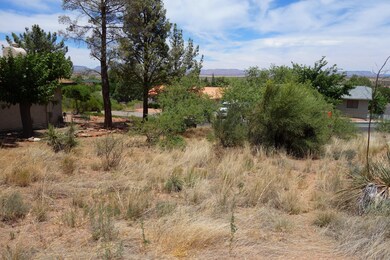 DSC00137