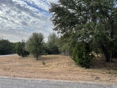 39010 Cedar Park Dr, Whitney, TX 76692 - photo 2