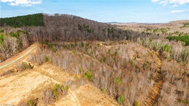 TBD Tot Hill Farm Rd, Asheboro, NC 27205 - photo 5