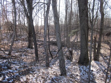 IMG_0465 - Copy