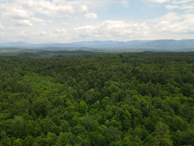 0 Marshall Phillips Rd unit 24033421, Brandon, VT 05733 - photo 4