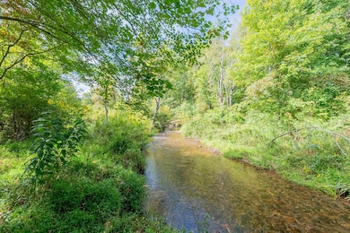 1746 Busted Rock Rd, Meadows of Dan, VA 24120 - photo 5