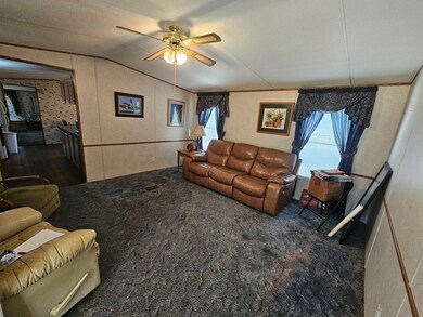 232 Old Bainbridge Rd, Baconton, GA 31716 - photo 7