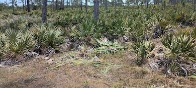 000 None, Grant Valkaria, FL 32950 - photo 5