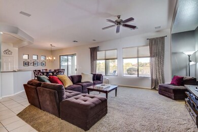 0005-Clearview (5)