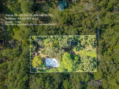 59 Andrew Ln, Crawfordville, FL 32327 - photo 7