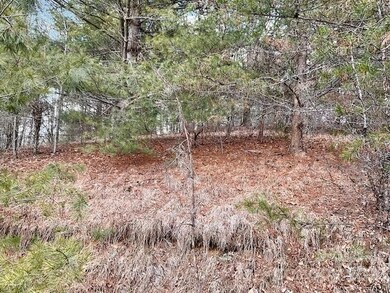 11 Hamlet Dr unit 11-12, Burnsville, NC 28714 - photo 4