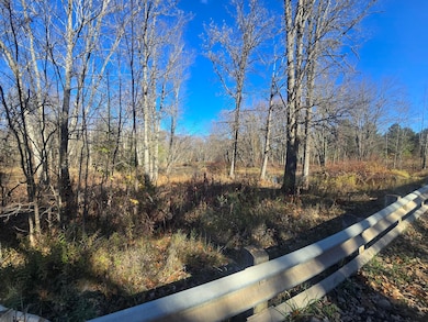 V/L E Cadillac Rd, Merritt, MI 49667 - photo 5