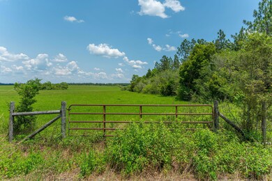 41-web-or-mls-adams-dr-lot-2