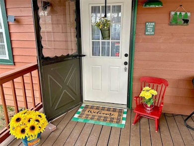 469 Mull Dr, Mineral Bluff, GA 30559 - photo 3