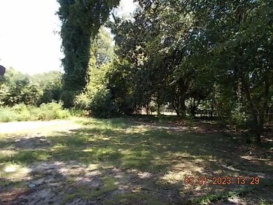 DSCN2154