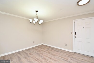 1061 Gardenview Loop unit 303, Woodbridge, VA 22191 - photo 4