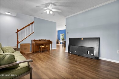 P6733196