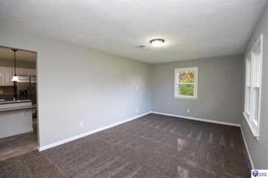 113 E Tophill Terrace, Elizabethtown, KY 42701 - photo 6