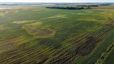 Tbd 428th Ave and 103rd St, Kidder, SD 57430 - photo 5