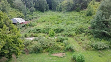 440 Big Spring Hollow Rd, Pulaski, TN 38478 - photo 7