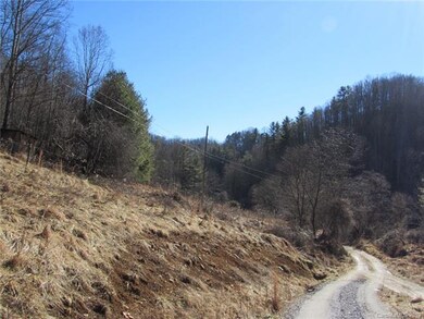 00 Willow Creek Rd, Burnsville, NC 28714 - photo 2